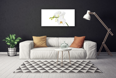 Obraz canvas Egzotyczna Elegancja Orchidei