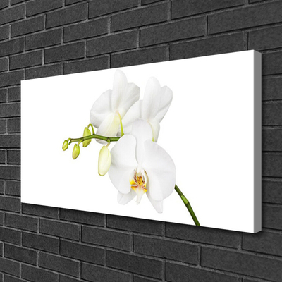 Obraz canvas Egzotyczna Elegancja Orchidei