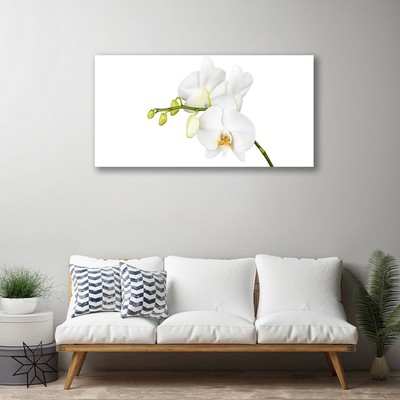Obraz canvas Egzotyczna Elegancja Orchidei