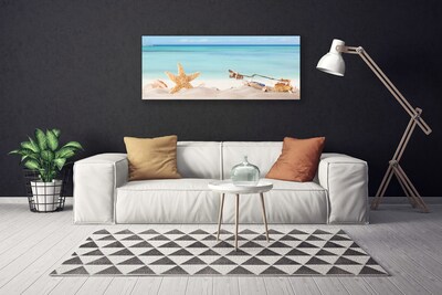 Obraz Canvas Rozgwiazda Muszle Plaża