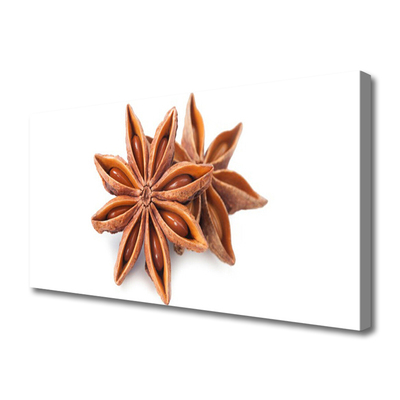 Fotoobraz na płótnie Aromat Gwieździstego Anyżu