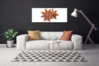 Fotoobraz na płótnie Aromat Gwieździstego Anyżu