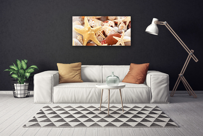 Obraz canvas Kompozycja Muszli na Brzegu