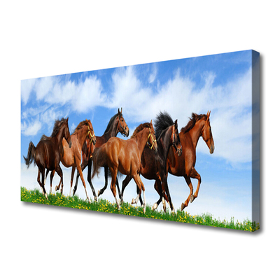 Zdjęcie na płótnie Dzikie Konie w Galopie