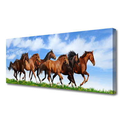 Obraz Canvas Konie w Galopie na Pastwisku
