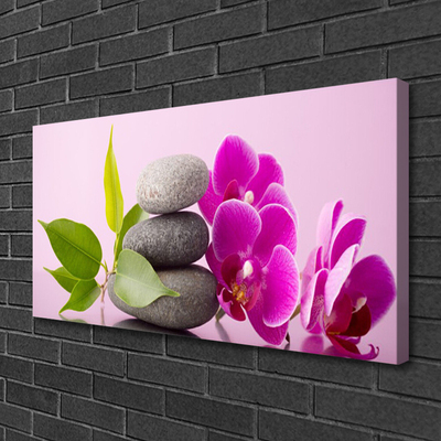 Obraz Canvas Orchidea Storczyk Kwiaty