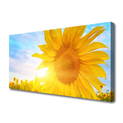 Obraz Canvas Słonecznik Kwiat Słońce