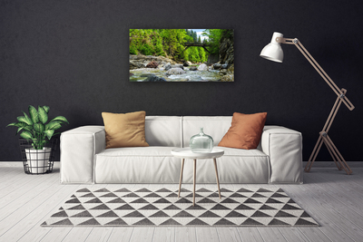 Obraz canvas Mostek w Cieniu Drzew