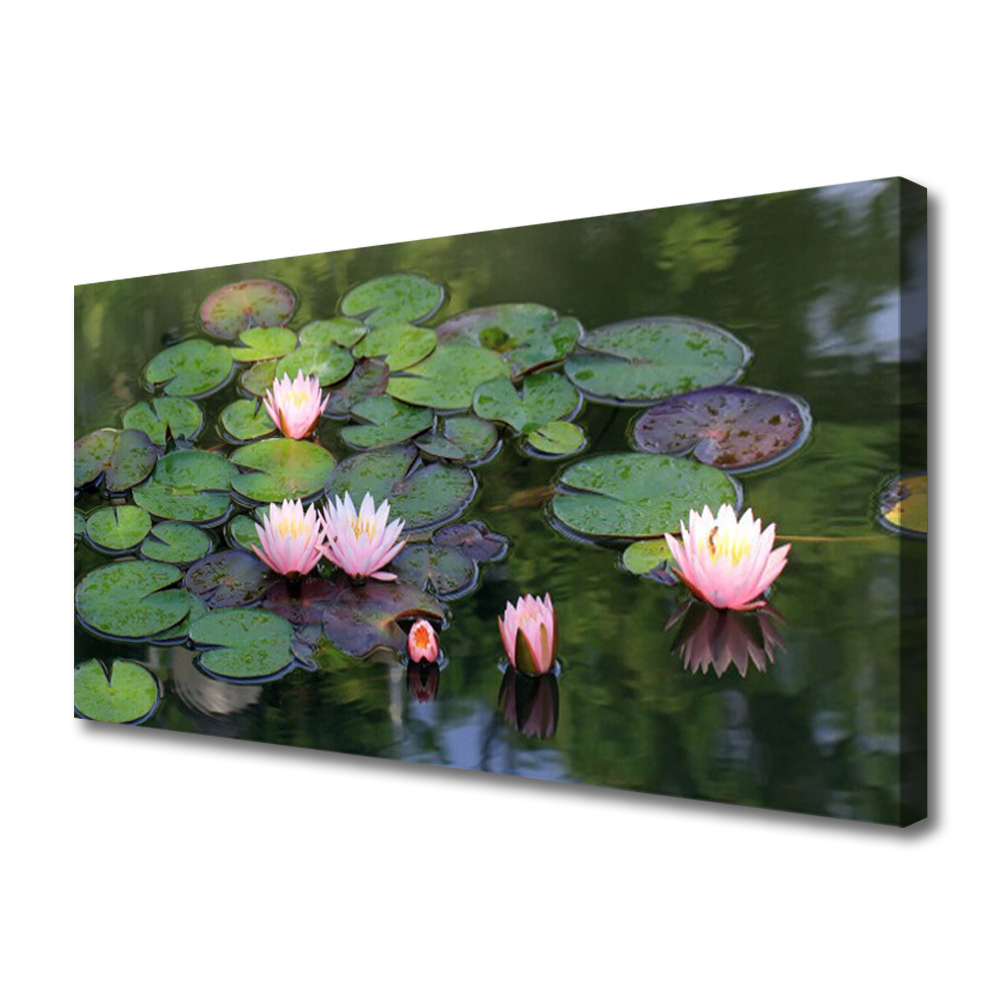 Obraz Canvas Lilia Wodna Staw Natura