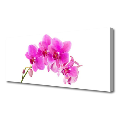 Obraz Canvas Storczyk Kwiat Orchidea