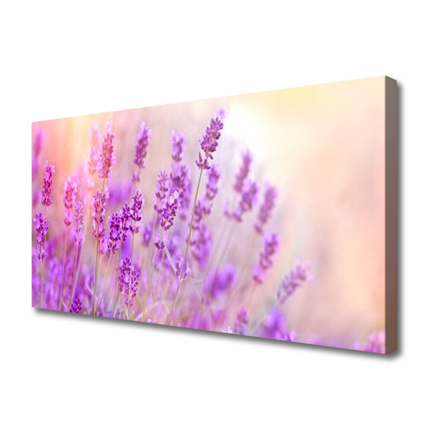 Obraz Canvas Lawendowe Pole Słońce Kwiaty