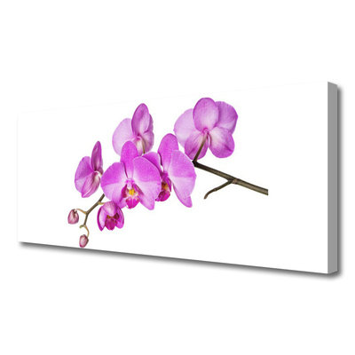 Obraz Canvas Storczyk Orchidea Kwiaty
