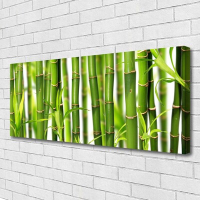 Obraz Canvas Bambusowe Pędy Liście Bambus