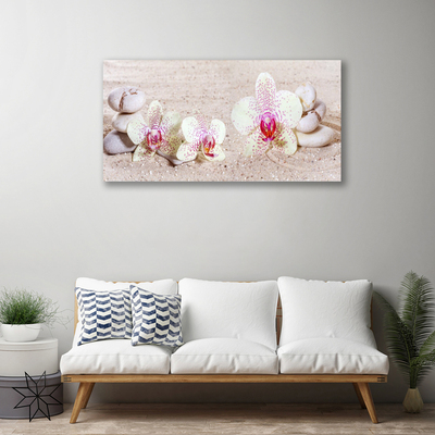 Obraz Canvas Storczyk Orchidea Piasek