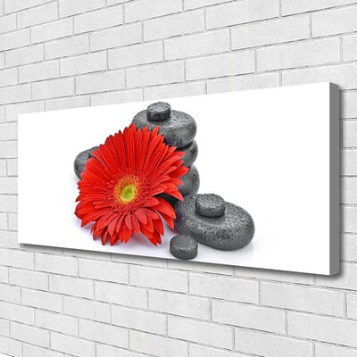 Obraz canvas Wyrazista Czerwona Gerbera