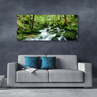 Obraz Canvas Las Potok Wodospady Rzeka
