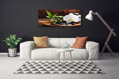 Obraz Canvas Bambus Zen Biały Storczyk