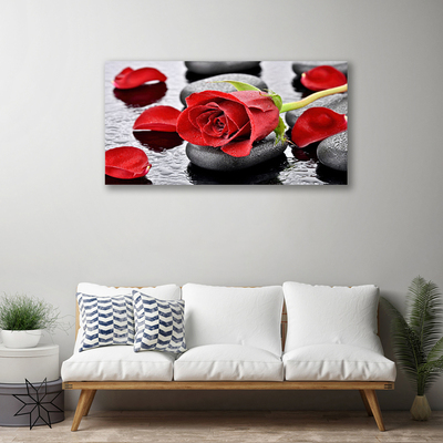 Obraz Canvas Czerwona Róża Kwiat