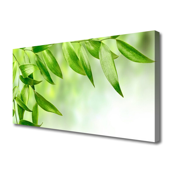 Obraz Canvas Zielone Liście Natura