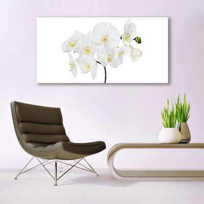 Obraz Canvas Storczyk Biały Kwiaty