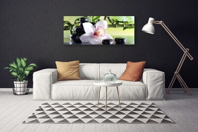 Obraz canvas Promienie Słońca w Zielonych Liściach