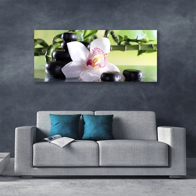 Obraz canvas Promienie Słońca w Zielonych Liściach