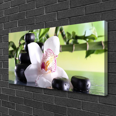 Obraz canvas Promienie Słońca w Zielonych Liściach