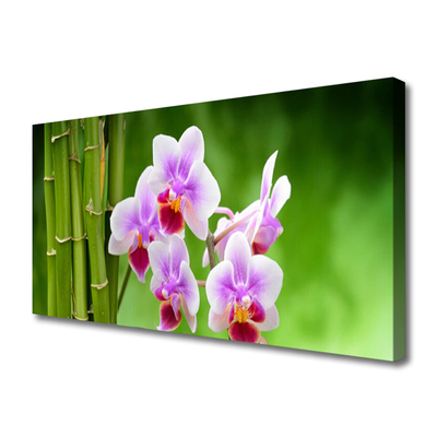 Obraz Canvas Bambus Storczyk Kwiaty Zen