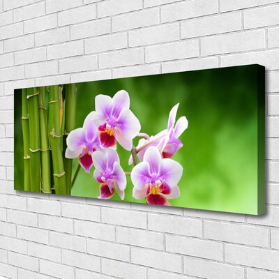 Obraz Canvas Bambus Storczyk Kwiaty Zen