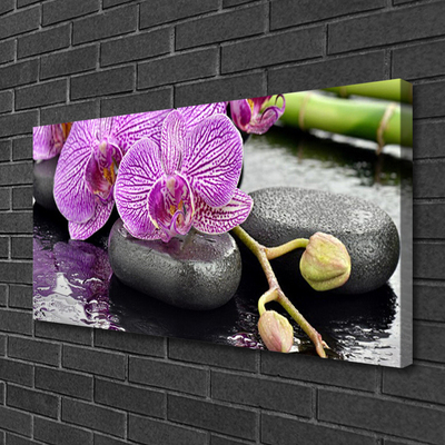 Obraz Canvas Storczyk Zen Orchidea Spa
