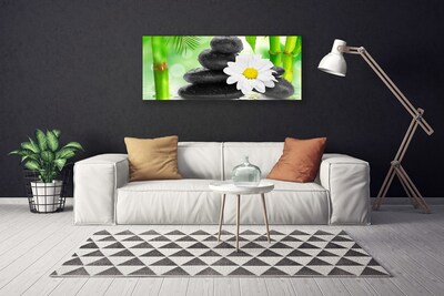 Obraz Canvas Bambus Stokrotka Kwiat