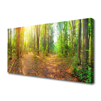 Obraz Canvas Słońce Natura Ścieżka Leśna