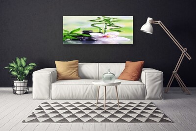 Obraz Canvas Storczyk Bambus Zen Spa