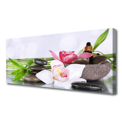 Duży obraz na płótnie Pływające Płatki na Tafli Wody