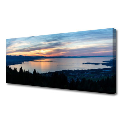 Duży obraz na płótnie Taniec Nasion Dmuchawca na Wietrze