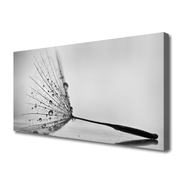 Duży obraz na płótnie Dywan Czerwonych Maków na Łące