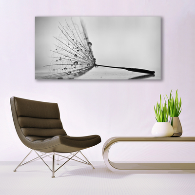 Duży obraz na płótnie Dywan Czerwonych Maków na Łące