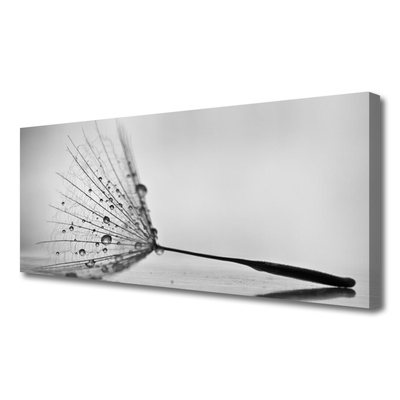 Duży obraz na płótnie Dywan Czerwonych Maków na Łące