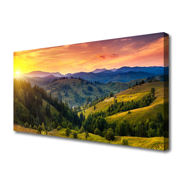 Obraz canvas Egzotyczny Kwiat Plumerii