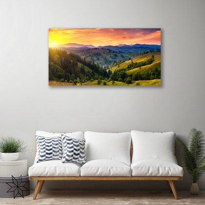 Obraz canvas Egzotyczny Kwiat Plumerii