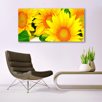 Obraz Canvas Słonecznik Kwiat Natura