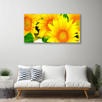 Obraz Canvas Słonecznik Kwiat Natura