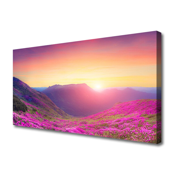 Obraz Canvas Słońce Góry Łąka Natura