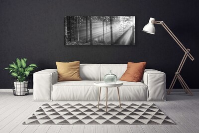 Obraz canvas na ścianę Kaskada nad Górską Przepaścią