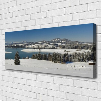 Obraz Canvas Jezioro Śnieg Kraina Góry