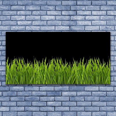 Obraz canvas Puszysta Kula Dmuchawca