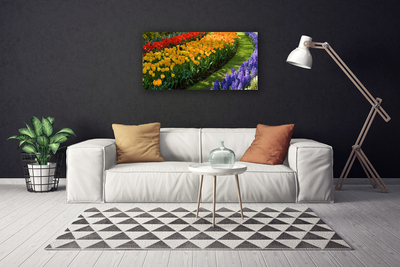 Obraz Canvas Kwiaty Ogród Tulipany
