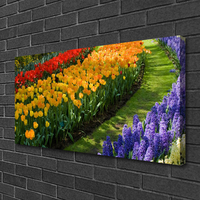 Obraz Canvas Kwiaty Ogród Tulipany