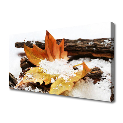 Obraz canvas Urok Skromnej Stokrotki