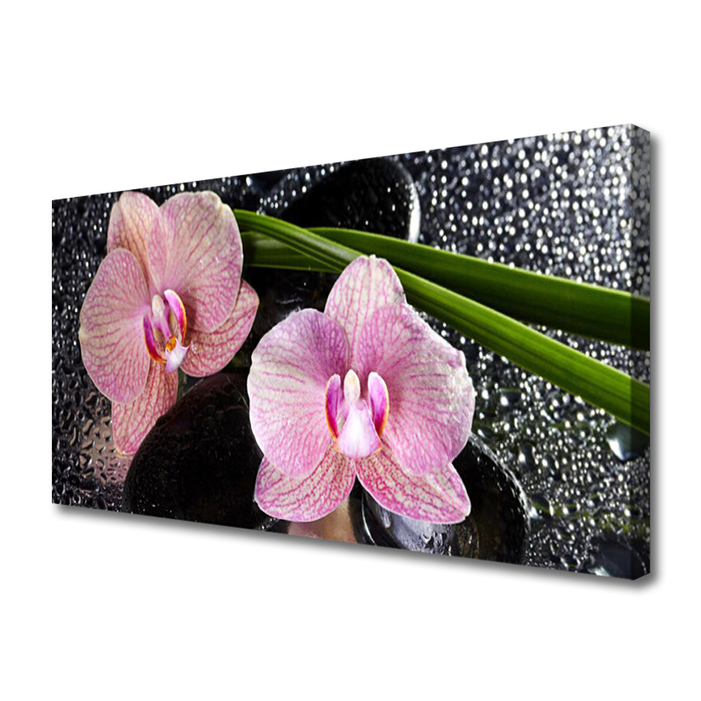 Obraz Canvas Kwiaty Orchidea Storczyk Zen